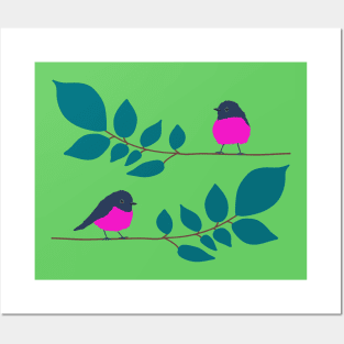 Pink robin on a tree branch Posters and Art